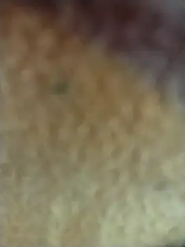 Snapshot of PEEHU-50 chatting on February 2, 3:27 am PEEHU-50 online show from February 2, 3:27 am