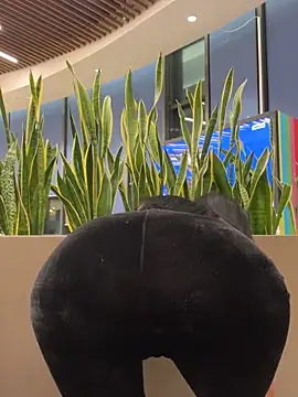 ilariea girl online show from February 3, 5:07 pm