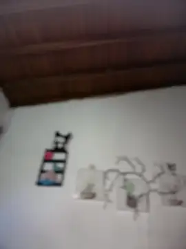 Solaangel  online show from February 10, 12:04 am