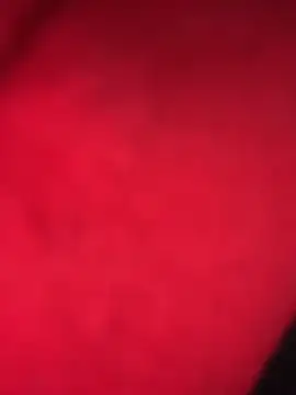 moonlight 289 online show from November 15, 6:15 pm