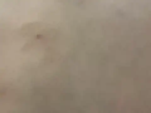 pleasedontpressaredburton online show from February 28, 3:29 am