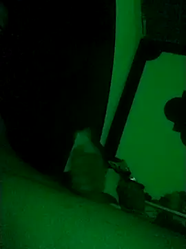 Buddha289 online show from February 22, 9:41 am