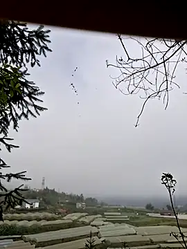 miomio-12 online show from November 7, 1:38 am