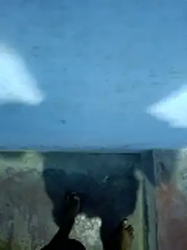 hemcrazy online show from January 8, 5:15 pm