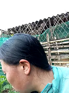 jerry-xx online show from January 18, 9:57 am