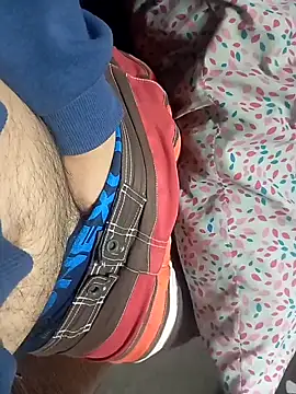 Snapshot of Alfetipies chatting on October 19, 1:39 am Alfetipies online show from October 19, 1:39 am