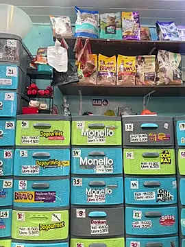 Lucy 699 online show from February 25, 6:28 pm