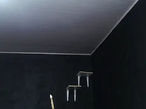 Snapshot of Liastark chatting on November 30, 10:41 am Liastark online show from November 30, 10:41 am