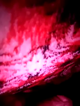 Snapshot of B4ldo25 chatting on November 21, 7:51 am B4ldo25 online show from November 21, 7:51 am