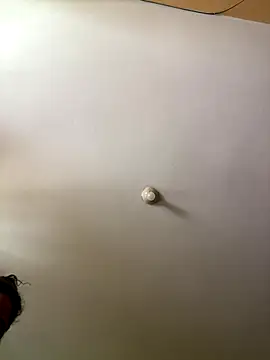 Techi0525 online show from December 16, 5:18 pm