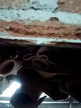 Rajni chauhan online show from February 1, 4:27 pm