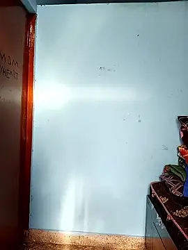 Deepa telugu online show from April 17, 10:40 am