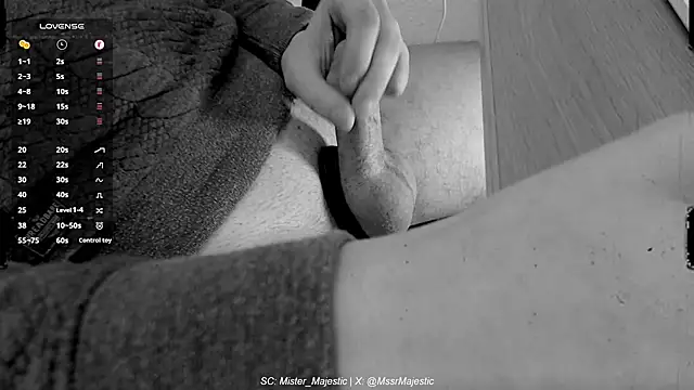 Mister Majestic online show from December 5, 12:47 pm