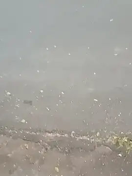 roludao fun online show from February 23, 9:34 pm