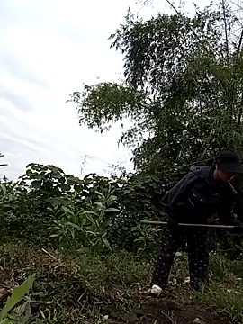 Chmdiemd online show from November 21, 12:43 am