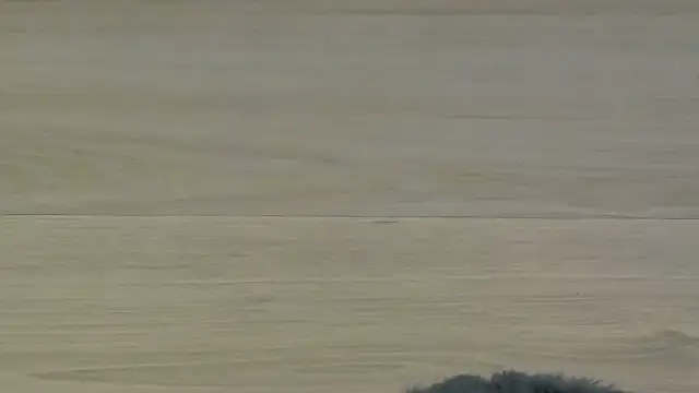 KimWilmes online show from December 14, 4:40 am