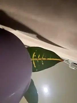 Amelia-Diamond online show from November 28, 8:22 pm