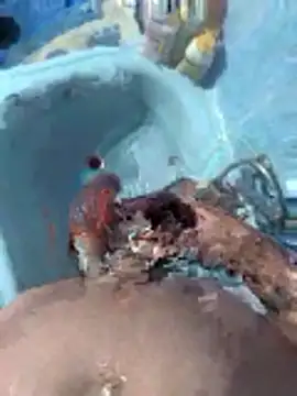 Miguelitros online show from April 27, 4:27 pm