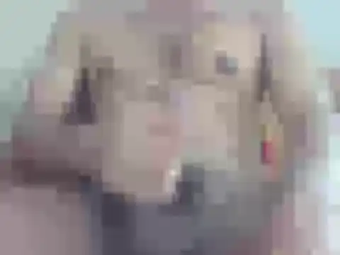 nick2445 online show from April 18, 9:24 am