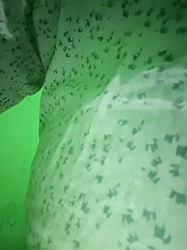 Snapshot of IamRamesh chatting on October 28, 1:25 pm IamRamesh online show from October 28, 1:25 pm