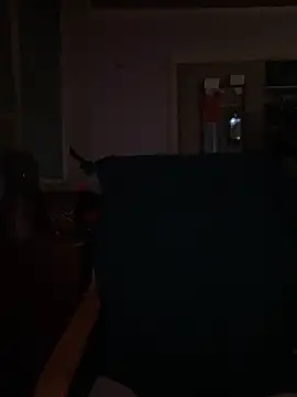 Snapshot of Macduckd chatting on February 13, 6:53 am Macduckd online show from February 13, 6:53 am