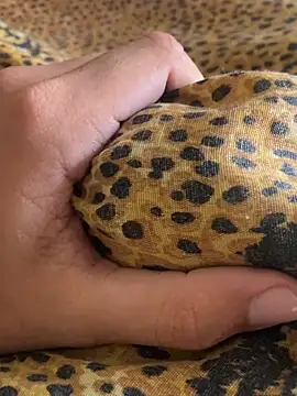 StrandedTrident online show from April 18, 10:19 am