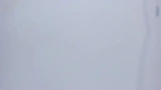 mirandaduboiss online show from April 13, 5:07 pm