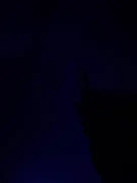Snapshot of alfarabisami chatting on June 10, 9:03 pm alfarabisami online show from June 10, 9:03 pm