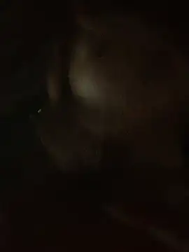 Lara-11 online show from February 14, 6:43 am