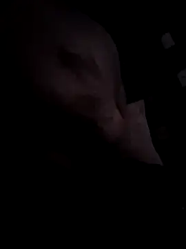 Djemi 7 online show from March 4, 2:39 am