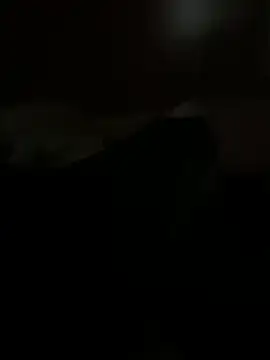 Snapshot of PassionCoupleLove chatting on October 26, 1:06 pm PassionCoupleLove online show from October 26, 1:06 pm