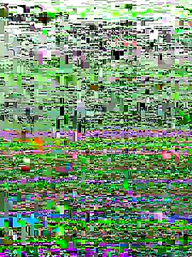 Snapshot of perfectguy4u chatting on October 28, 8:55 pm perfectguy4u online show from October 28, 8:55 pm