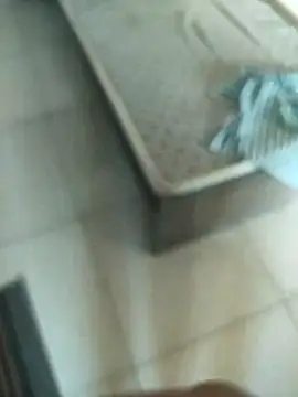 Snapshot of Telugus chatting on November 7, 7:08 am Telugus online show from November 7, 7:08 am