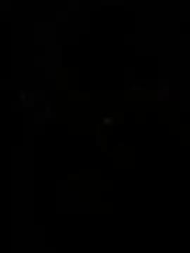 WildNour online show from April 13, 11:05 am