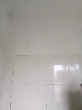 bella-la online show from February 12, 1:00 am