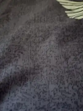 bigtelugubhama online show from February 25, 7:18 am