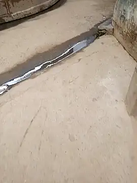 Snapshot of Pandey0012 chatting on October 28, 2:26 am Pandey0012 online show from October 28, 2:26 am