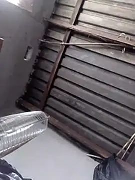 Teddypuer online show from November 2, 12:40 pm