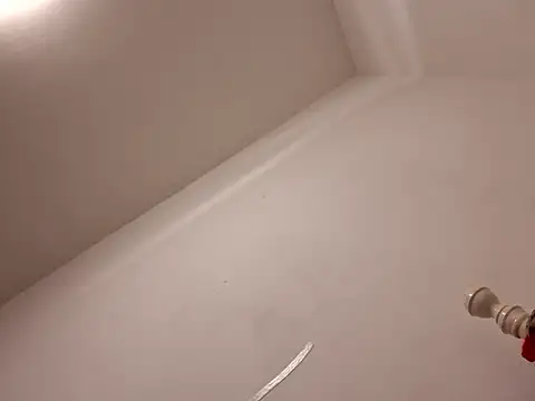 rebebia13 online show from November 29, 2:14 am