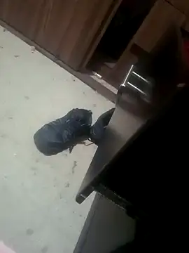 Yerackhip online show from January 17, 7:46 am