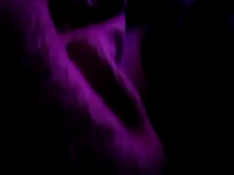 akram306 online show from November 14, 11:24 pm