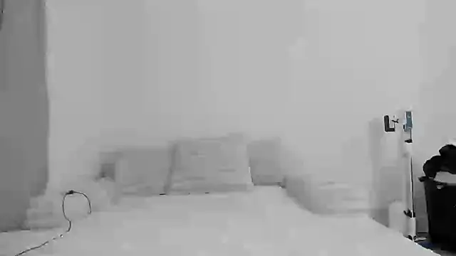 Snapshot of zaylanez chatting on November 8, 6:35 am zaylanez online show from November 8, 6:35 am