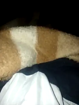 Snapshot of Azo3zgju chatting on November 23, 2:33 am Azo3zgju online show from November 23, 2:33 am