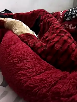 Snapshot of littleprincesssss chatting on November 5, 2:50 pm littleprincesssss online show from November 5, 2:50 pm