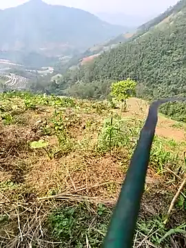 Lynly k2 online show from April 8, 7:19 am