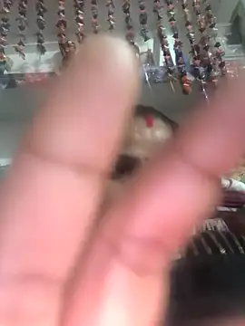 Hot suini online show from February 14, 6:32 am