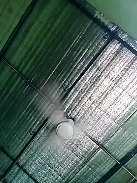 Keya-009 online show from April 25, 4:37 am