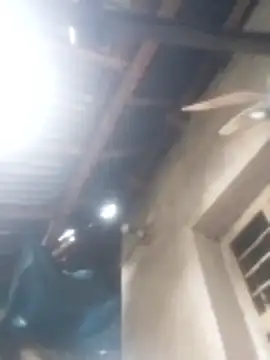 jacka 305 online show from January 17, 3:11 am