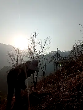 blonde blg online show from April 3, 10:02 am