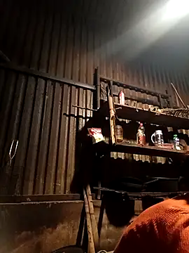 -Chua-90 online show from February 9, 11:42 pm